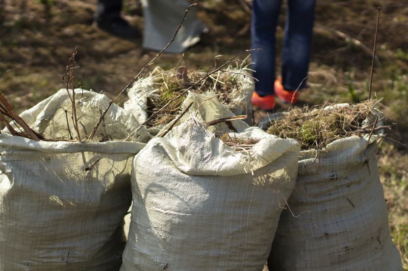 Optimal Timing for Cost Savings